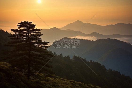 黎明的山谷图片