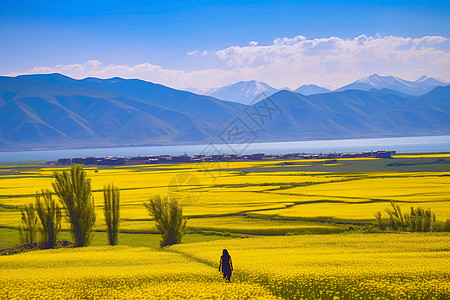 大美高山和花海背景图片