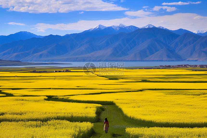 高山下的油菜花海图片