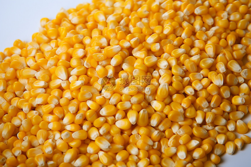 低脂可食用的玉米粒图片
