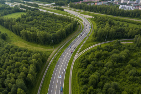 交通道路中的树木图片