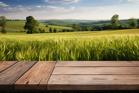 农村景色和木桌图片