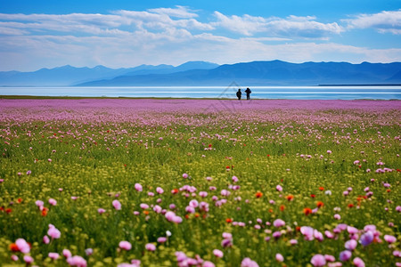 伊犁赛里木湖新疆伊犁旅游欣赏自然风光背景