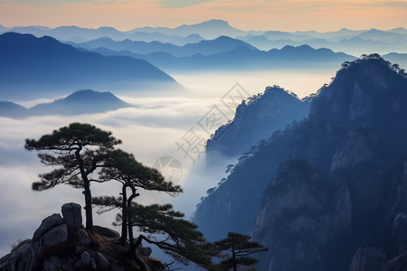 美丽黄山云海图片