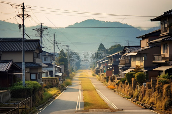 阳光下的乡村道路图片