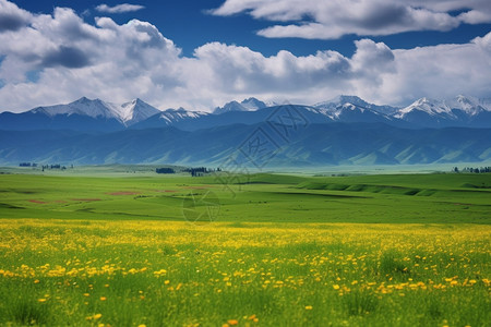 红原大草原美丽的大自然背景