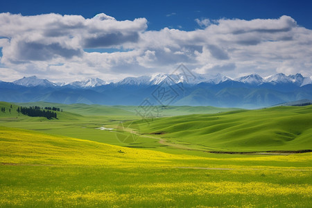 初夏草原插图新疆的好风景背景