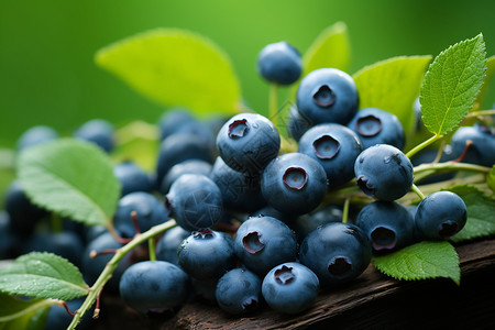 营养的蓝莓图片