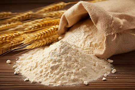 小麦淀粉图片