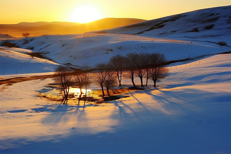 乌兰布通草原的冬天图片