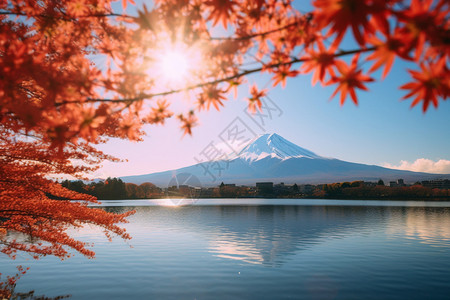 富士山下的风景高清图片