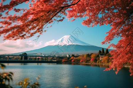 日本富士山景色日本火山山脚下的景色背景