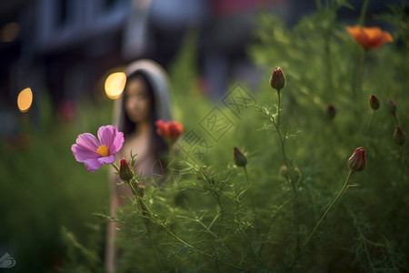 拿花儿女孩鲜嫩的花草背景