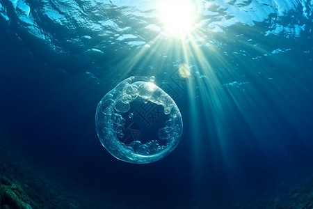 清澈的海水中上升的气泡图片