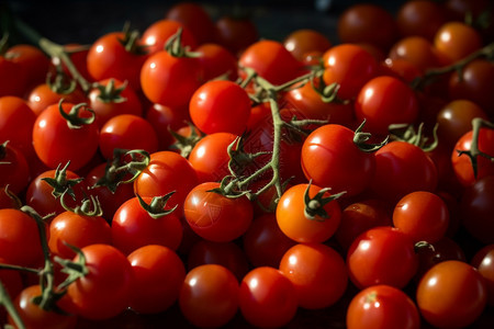 营养多汁的番茄图片