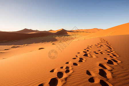 著名的纳米比亚沙漠图片