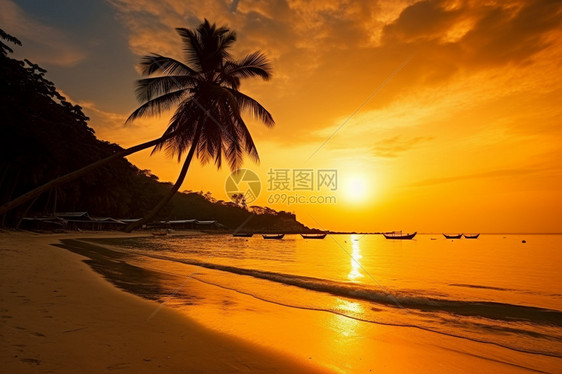 沙滩边的夕阳图片