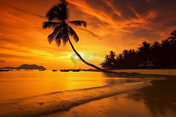 沙滩边夕阳美丽景色图片