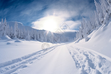 冬天的雪景景观图片