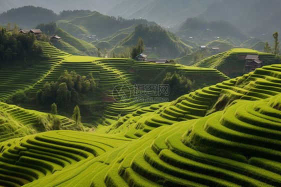 梯田风景图片