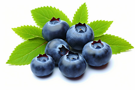 多汁成熟的蓝莓图片