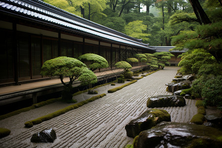 寺院内的植物和岩石图片