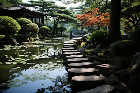 花园的建筑和池塘图片