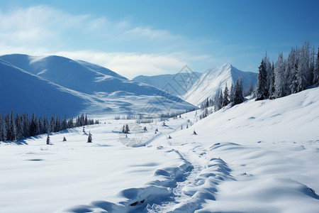 山脉中的树木和冰雪图片