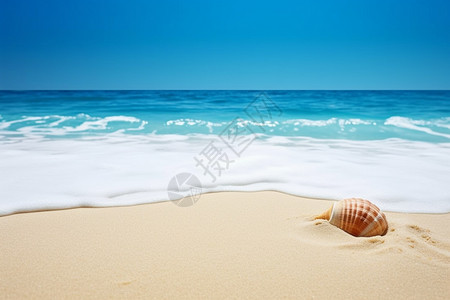 美丽的海边沙滩图片