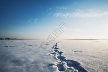 阳光下洁白的雪地图片