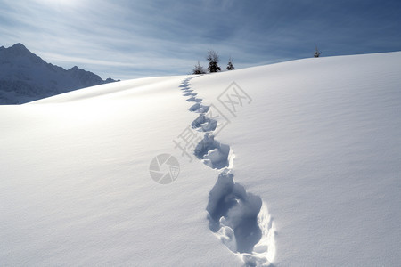 雪上的脚印图片