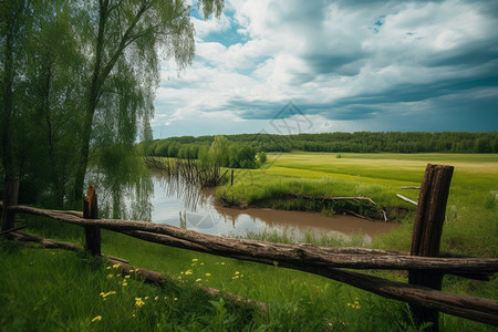 湿地公园的风景图片