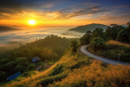 森林道路户外的大自然风景背景