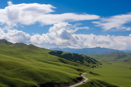 青海公路伊犁森林的独库公路背景