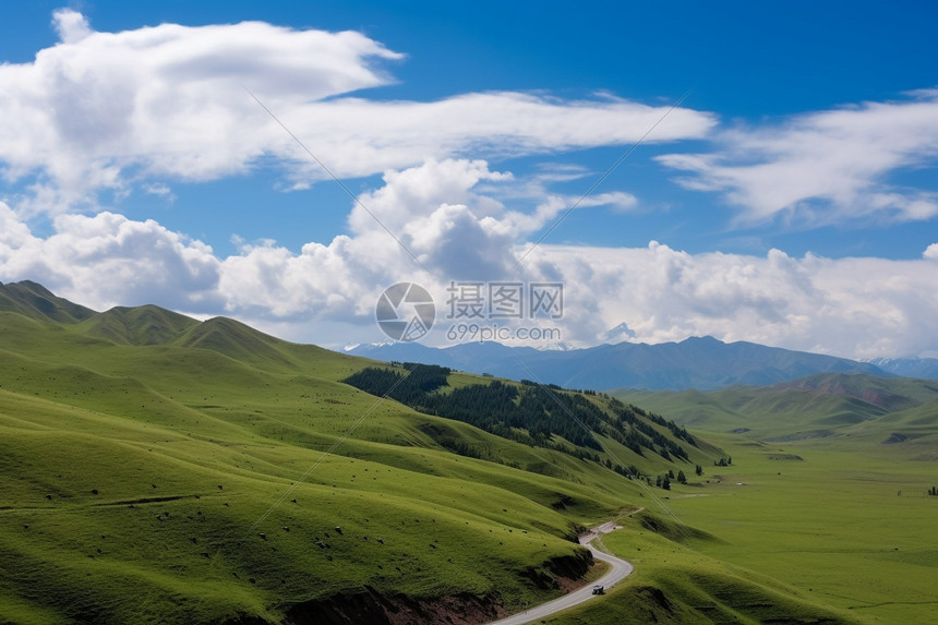 伊犁森林的独库公路图片