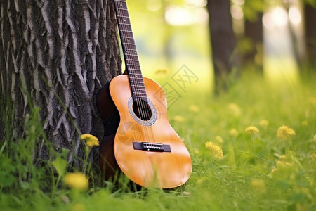 草地上古典吉他图片