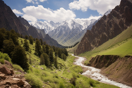 夏季山间峡谷的美丽景观图片