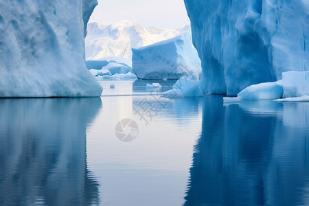 北极的冰山图片