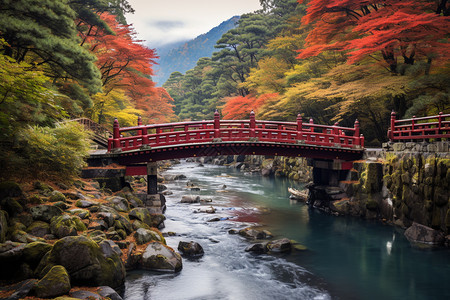 山间森林的美丽景观图片