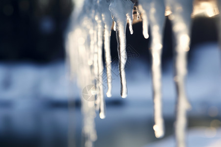 冬季冻结的冰柱图片