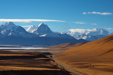 壮丽的高原雪山图片