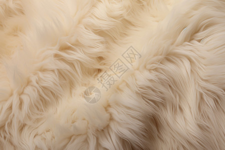 动物毛纺织品图片