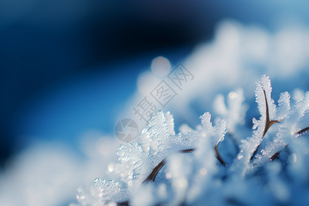 户外冷凝的雪花图片