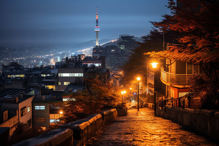 夜色中的居民区小路图片