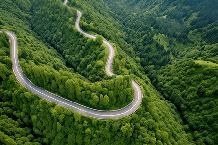 夏天丘陵森林中的道路图片