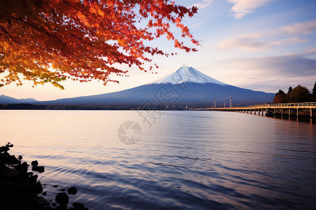 美丽的富士山景观图片