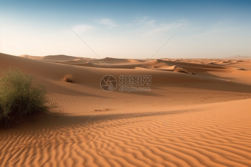 阳光明媚的阿拉伯沙漠景观图片