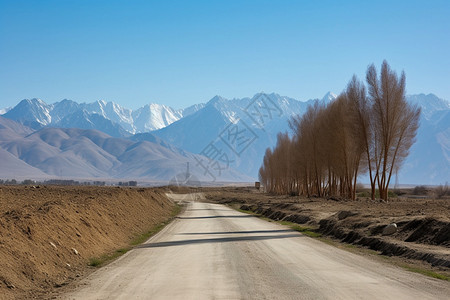 喀什地区交通公路图片
