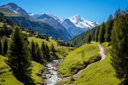 瑞士国家公园的图图片
