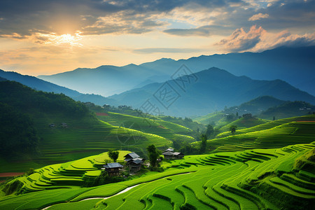 日出时阳朔梯田的美丽景观图片